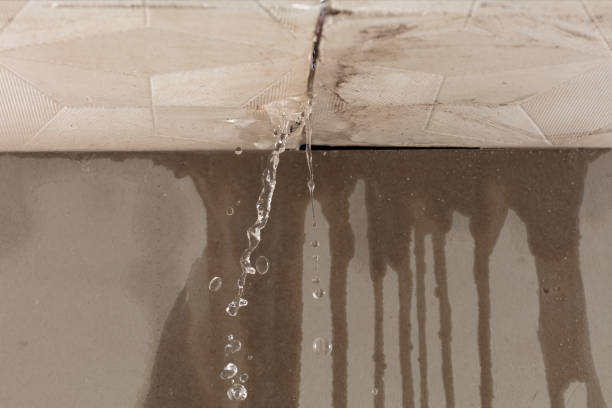Professional Burst Pipe Cleanup technician working in Waverly, MN